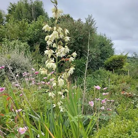 Дом отдыха Harmony Haven *