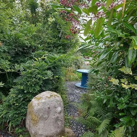 Harmony Haven * Foxford