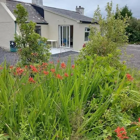Harmony Haven Foxford
