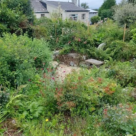 Harmony Haven Feriehus Foxford