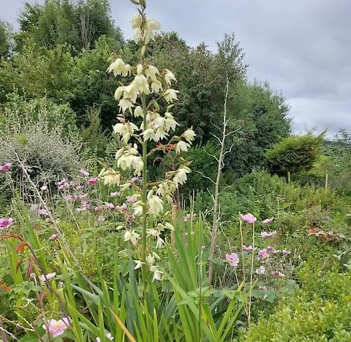 Дом отдыха Harmony Haven *