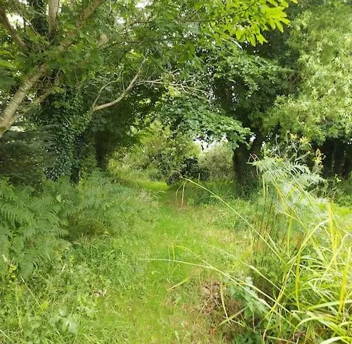 Harmony Haven Дом отдыха