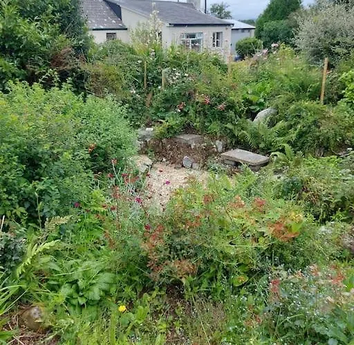 Harmony Haven Дом отдыха Фоксфорд